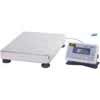 100g Readability Electronic Balances