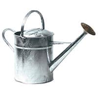 Galvanised Watering Can