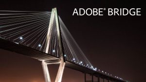 Adobe Bridge CC 2020 Crack + License Key Free Download