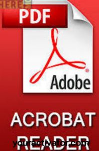 Adobe Acrobat Reader DC 2023.008.20421 Crack + License Key Free Download 2024